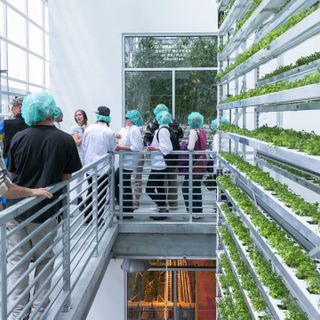 These buildings combine affordable housing and vertical farming