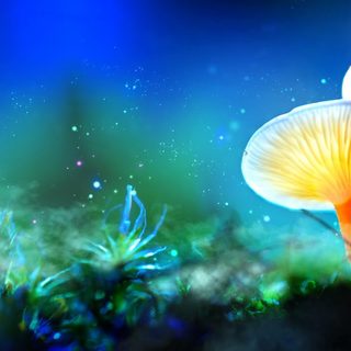 Oregonians Are One Step Closer to Voting on Magic Mushroom Legalization