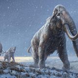 World's oldest DNA sequenced from a mammoth that lived more than 1 million years ago