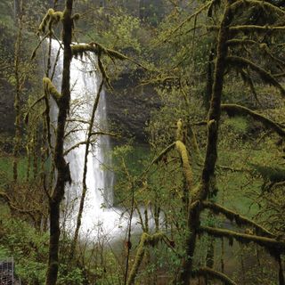 Multiple State Parks Are Closed Again Following Last Week’s Snow and Ice Storm