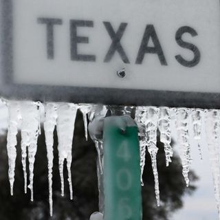 Abbott appointees made 'astonishing' cuts to power reliability team before deadly Texas storm