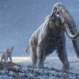 We Sequenced the Oldest Ever DNA From Million-Year-Old Mammoths