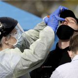 New Zealand could pull off bold goal of eliminating virus