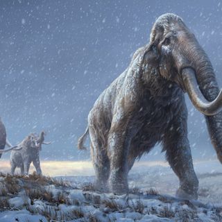 Scientists extract from Siberian mammoth molars the oldest DNA ever recovered