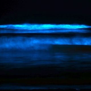 Carlsbad's surf sparkles with bioluminescence — but you can't go to the beach