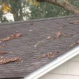 Florida SB 76 could change how insurance companies cover old roof replacements