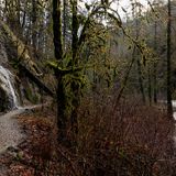 What It’s Like to Get Lost in the Columbia River Gorge