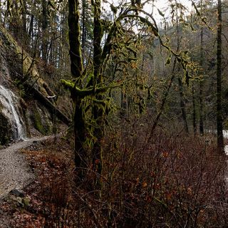 What It’s Like to Get Lost in the Columbia River Gorge