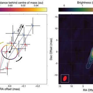 Cygnus X-1 contains a 21–solar mass black hole—Implications for massive star winds