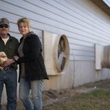 Egg demand shifted, and 61,000 Minnesota chickens were euthanized