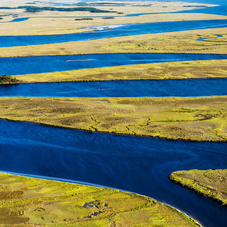 The East Coast is sinking under water—this photographer is documenting it as it disappears