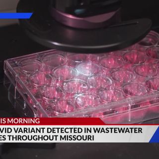 U.K. COVID variant found in 13 wastewater systems across Missouri