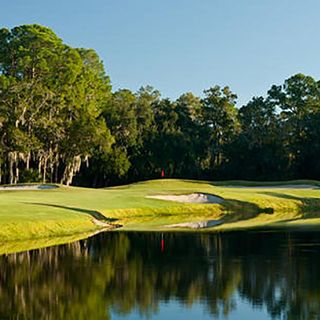 Florida golfer found drowned after searching for lost ball