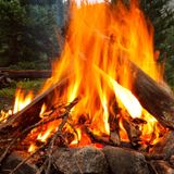 Campfires restricted in Arizona national forests starting Wednesday