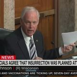 Ron Johnson Defends Promoting Capitol Riot Conspiracy Theorist's 'Fake Trump Supporters' Claim