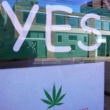 Burlington, Brattleboro, Montpelier and other municipalities approve pot shops