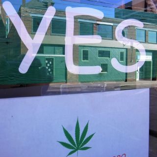 Burlington, Brattleboro, Montpelier and other municipalities approve pot shops