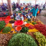 India's Farmer Protests: Why Are They So Angry?