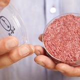 Lab-Grown Meat: One Startup Has an Idea That Could Dramatically Slash Costs