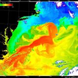 The Gulf Stream is slowing to a 'tipping point' and could disappear