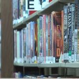 Sussex County Libraries Reopen for limited Public Browsing, Computer Use