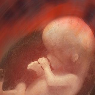 L.A. Archbishop: Unborn Babies Truly ‘the Most Vulnerable’ in Our Society