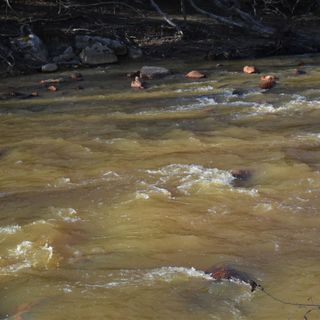 Mine blowout sends millions of gallons of acidic drainage into Cheat River