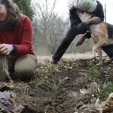 New Conservation Program Hopes To Serve Growing Number Of Wisconsin Women Managing Land