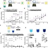 C. elegans discriminates colors to guide foraging