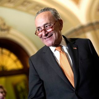 Chuck Schumer Holds The Line