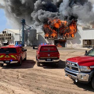 Over 166,000 hens die in Arizona farm fire | CNN