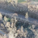 Washington, Missouri man could face charges for cutting down trees along nature path