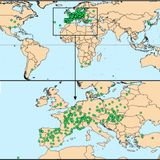 Higher airborne pollen concentrations correlated with increased SARS-CoV-2 infection rates, as evidenced from 31 countries across the globe