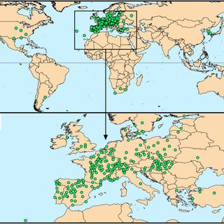 Higher airborne pollen concentrations correlated with increased SARS-CoV-2 infection rates, as evidenced from 31 countries across the globe