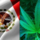Mexico’s Chamber Of Deputies Approves Revised Marijuana Legalization Bill