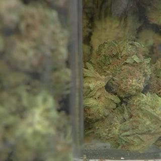 Marijuana sales reach record high during COVID-19 crisis