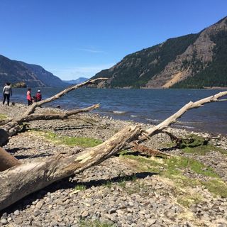 Additional State Parks Are Reopening In the Gorge, Which Means Most Recreation Sites Are Up and Running in the Corridor