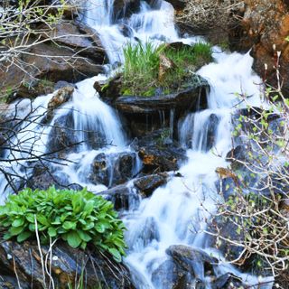 Rocky Mountain National Park explains why its wilderness camping reservation system keeps crashing