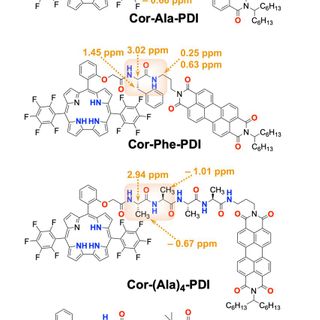 Role of intramolecular hydrogen bonds in promoting electron flow through amino acid and oligopeptide conjugates