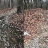 Tennessee cracking down on off-road and all-terrain vehicles in state forests