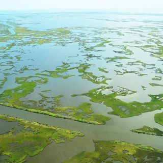 Mississippi Mud Might Stop Louisiana from Disappearing