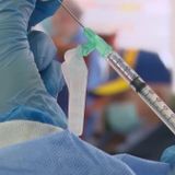 City of Memphis leaders apologize for vaccine appointment problems