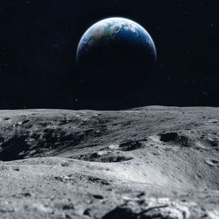 Scientists want to store DNA of 6.7 million species on the moon, just in case