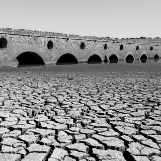 European summer droughts since 2015 unprecedented in past two millennia