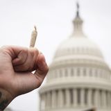 America's Long Fight for Federal Marijuana Legalization