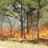 Gov. Tony Evers declares emergency amid outbreak of wildfires