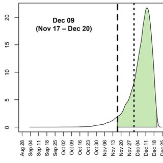 Timing the SARS-CoV-2 index case in Hubei province