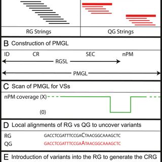 Perfect Match Genomic Landscape strategy: Refinement and customization of reference genomes