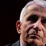 Fauci says U.K. variant may account for up to 30% of U.S. coronavirus infections