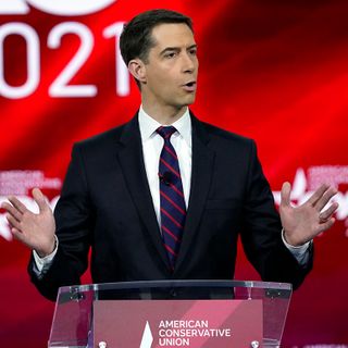 Cotton calls for return of Trump border policies